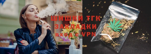 СК Дмитров
