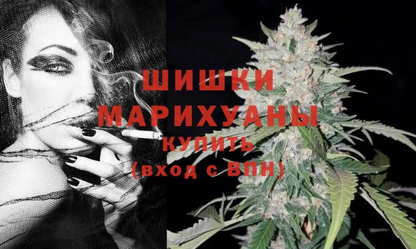 СК Дмитров
