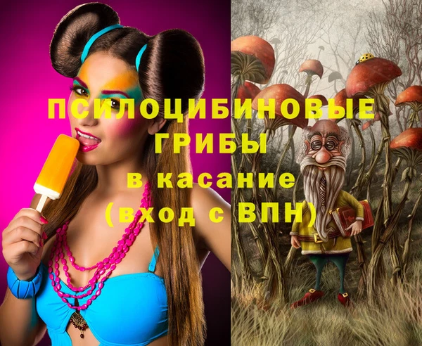 СК Дмитров